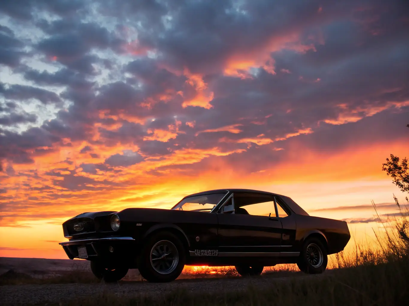 A beautifully maintained 1965 Ford Mustang, featuring its classic fastback design, chrome bumpers, and iconic pony emblem, driving along a scenic coastal highway.